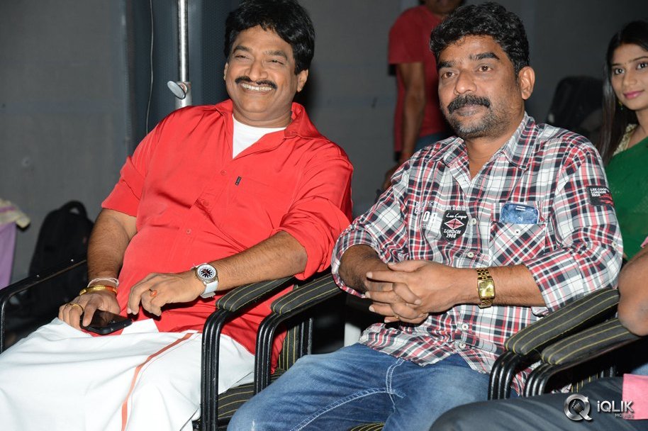 Anushtanam-Movie-Audio-Launch